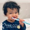 Pine Cove Dental