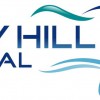 Bay Hill Dental